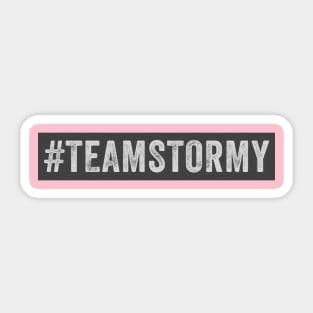 Team Stormy // Logo Box Grayscale Style Sticker